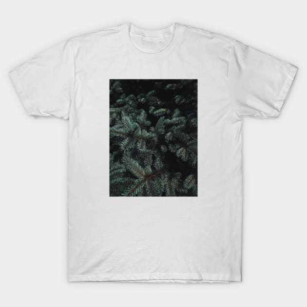 Inside The Dark Tree T-Shirt by PhotoWarden